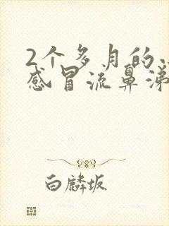 2个多月的小狗感冒流鼻涕怎么办