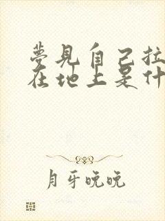 梦见自己拉大便在地上是什么预兆