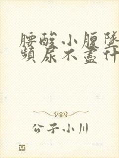 腰酸小腹坠胀尿频尿不尽什么原因