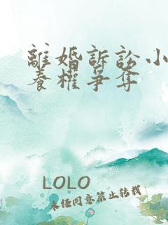 离婚诉讼小孩抚养权争夺