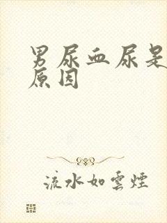 男尿血尿是什么原因