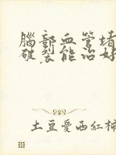 脑部血管堵血管破裂能治好吗