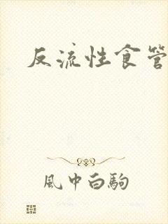 反流性食管胃炎