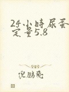 24小时尿蛋白定量5.8