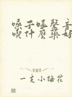 嗓子哑声音嘶哑吃什么药好得快