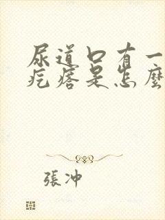 尿道口有一个小疙瘩是怎么回事