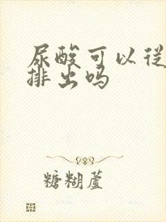 尿酸可以从尿液排出吗