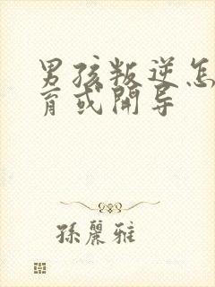 男孩叛逆怎样教育或开导