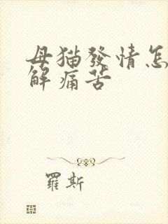 母猫发情怎么缓解痛苦