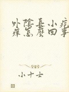 外阴长小疙瘩还痒怎么回事