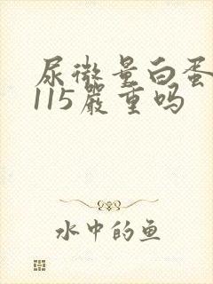 尿微量白蛋白高115严重吗