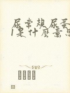 尿常规尿蛋白+1是什么意思