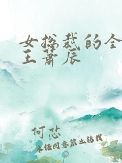 女总裁的全能兵王萧辰