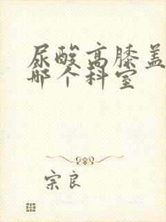 尿酸高膝盖痛去哪个科室