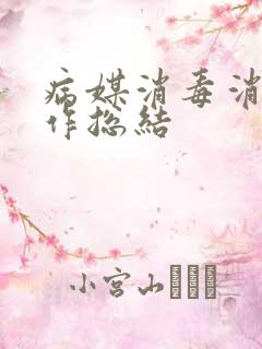 病媒消毒消杀工作总结