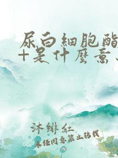 尿白细胞酯酶2+是什么意思