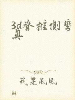 3d脊椎侧弯支具