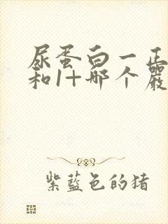 尿蛋白一正一负和1+哪个严重