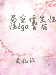 局灶增生性硬化性iga肾病