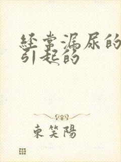 经常漏尿的原因引起的