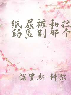 纸尿裤和拉拉裤的区别哪个比较好