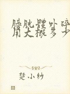 膀胱体外碎石费用大概多少钱