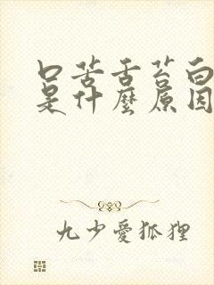 口苦舌苔白尿黄是什么原因