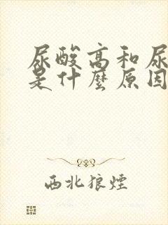 尿酸高和尿隐血是什么原因