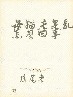 母猫老是乱尿是怎么回事