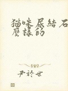 猫咪尿结石是怎么样的