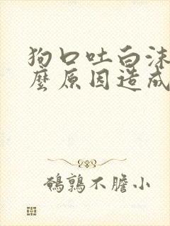 狗口吐白沫是什么原因造成的