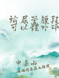 输尿管腹段结石可以体外碎石吗