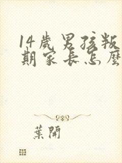 14岁男孩叛逆期家长怎么办