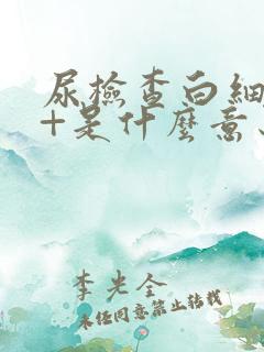 尿检查白细胞3+是什么意思