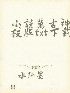 小说万古神帝精校版txt下载