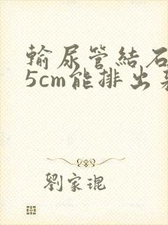 输尿管结石0.5cm能排出来吗