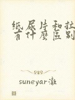 纸尿片和拉拉裤有什么区别