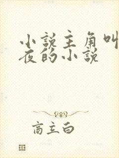小说主角叫李七夜的小说