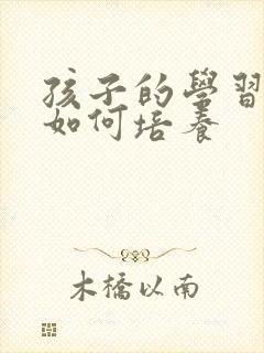 孩子的学习习惯如何培养