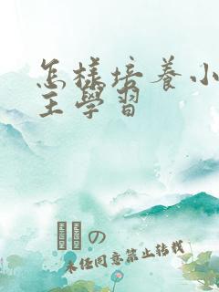 怎样培养小孩自主学习