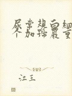 尿常规白细胞3个加号严重吗