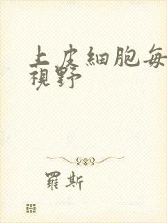 上皮细胞每高倍视野