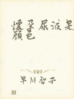 怀孕尿液是什么颜色