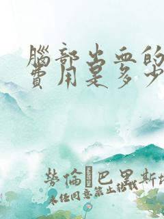 脑部出血的治疗费用是多少