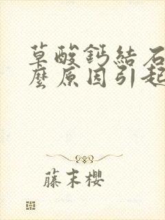 草酸钙结石是什么原因引起的