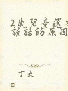 2岁儿童还不会说话的原因