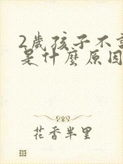 2岁孩子不说话是什么原因引起的