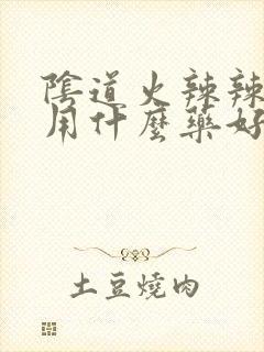 阴道火辣辣的疼用什么药好