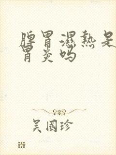 脾胃湿热是慢性胃炎吗