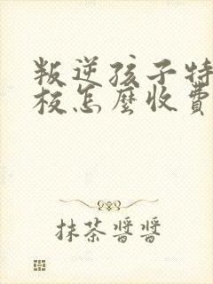 叛逆孩子特训学校怎么收费